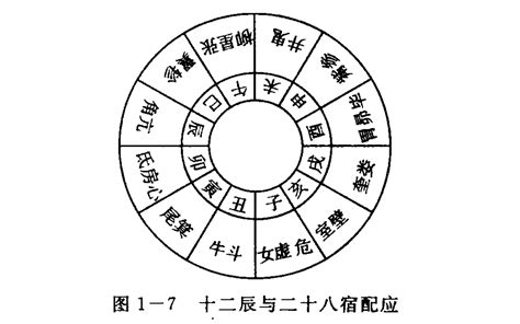 天干属性|天干地支（中国古代天文历法）